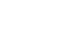 Big Logo